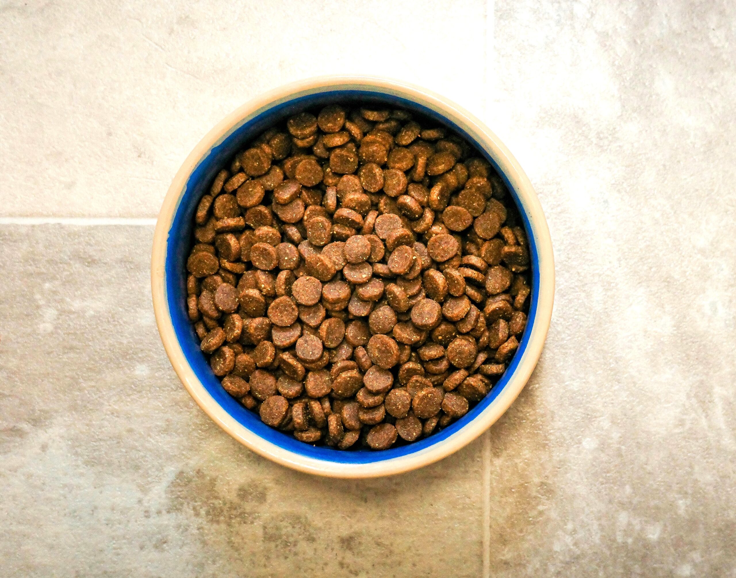 Best Wet-Cat Food for Sensitive Stomach Vomiting