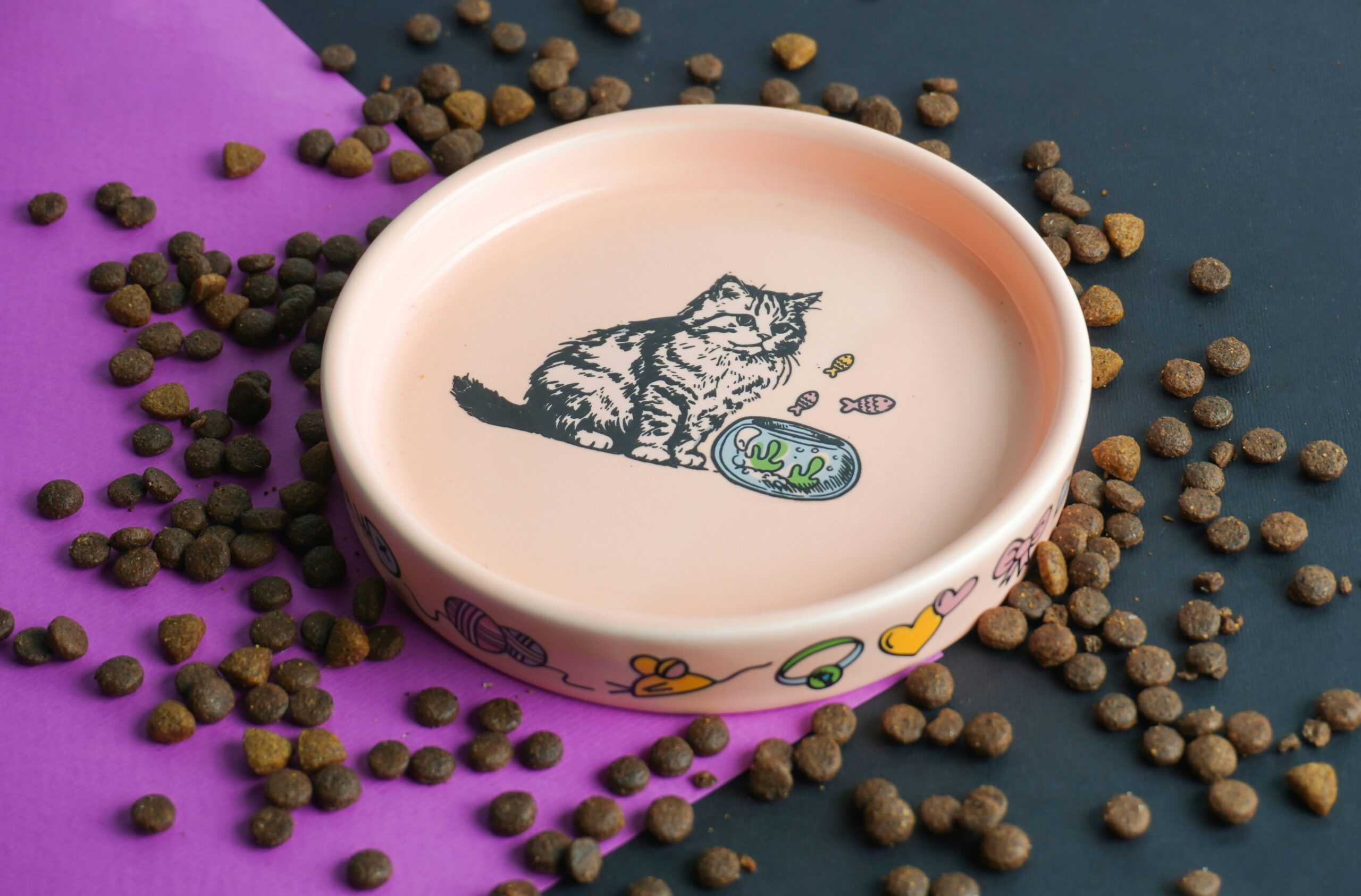 How can Cats Get that Micrognathia from Eating Dry Food