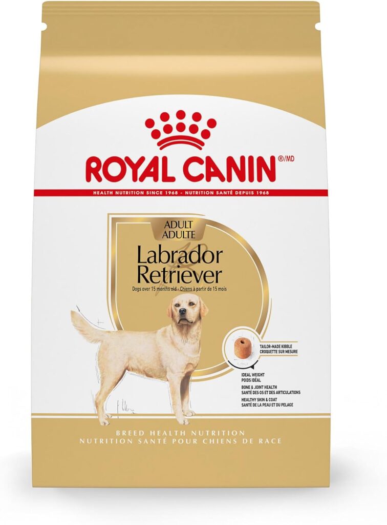 Labrador Retriever Adult Dry Dog Food, 30 lb bag