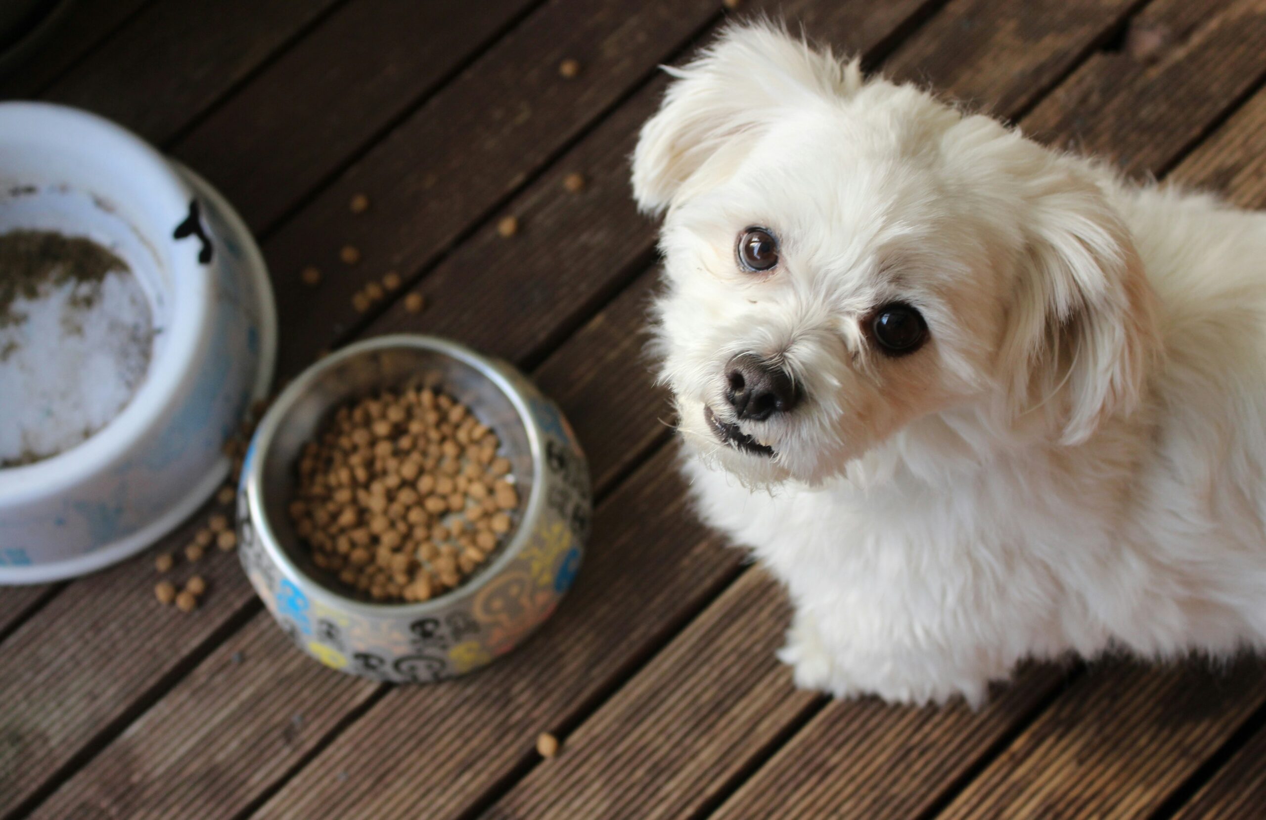 PetFoods