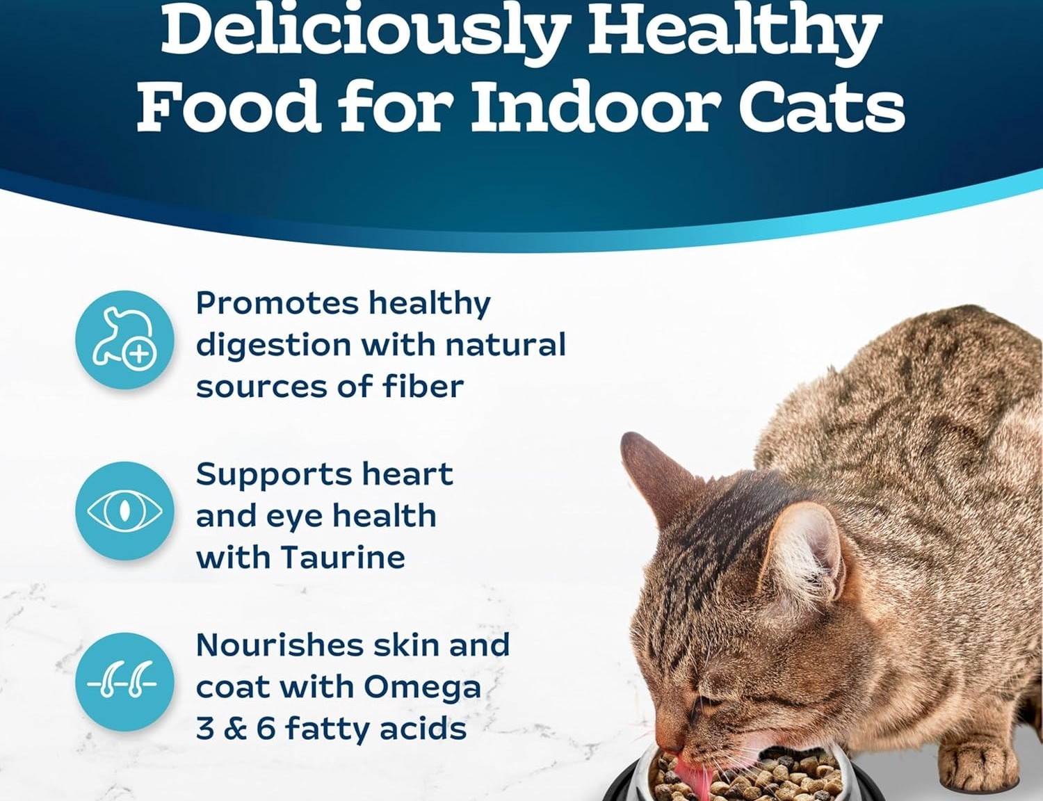 The Best Dry Cat Food for Indoor Cats Vet-Recommended