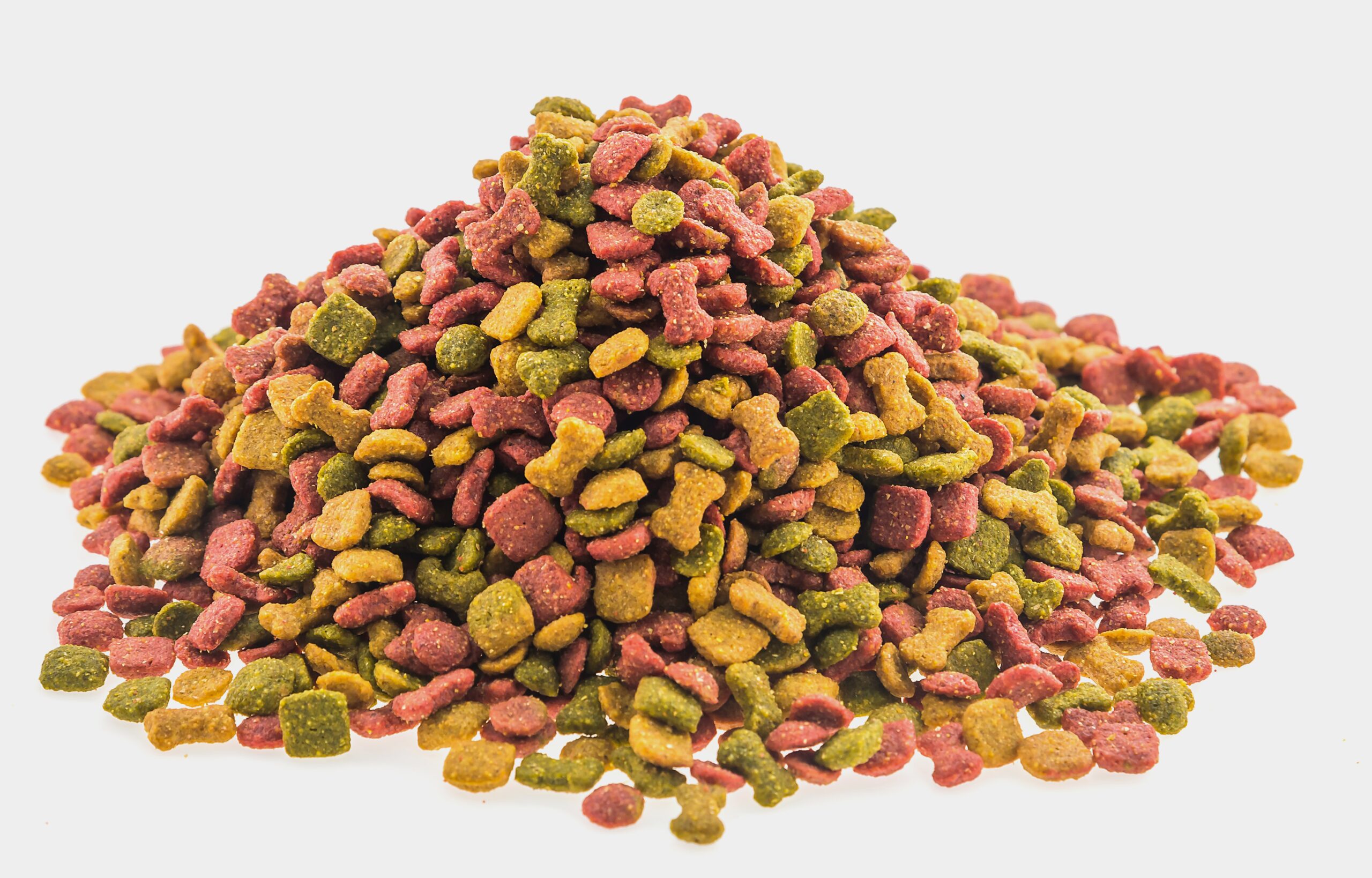 Which type of Dry and Wet Food is Best for a Dog