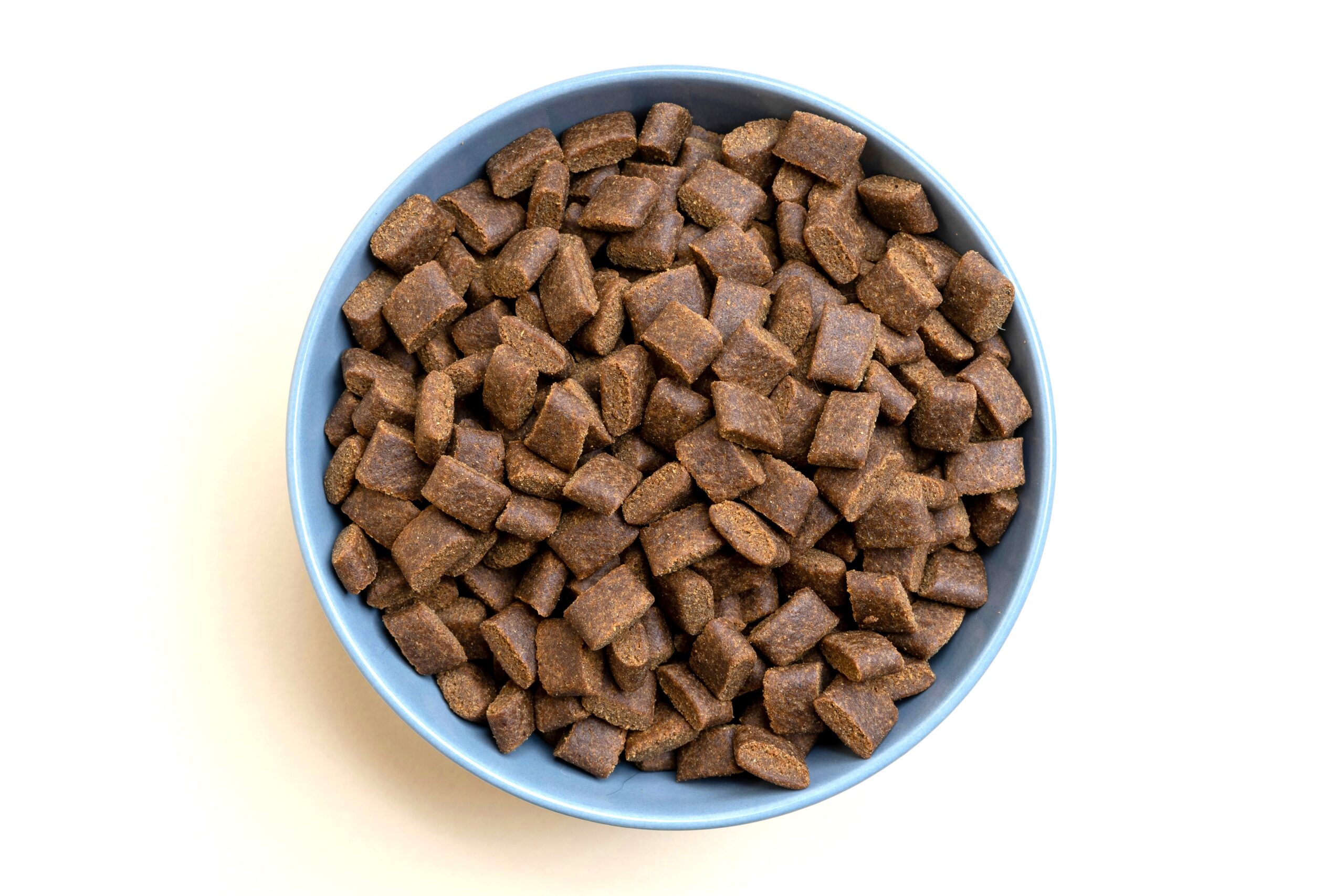 the best dog food for French Bulldogs