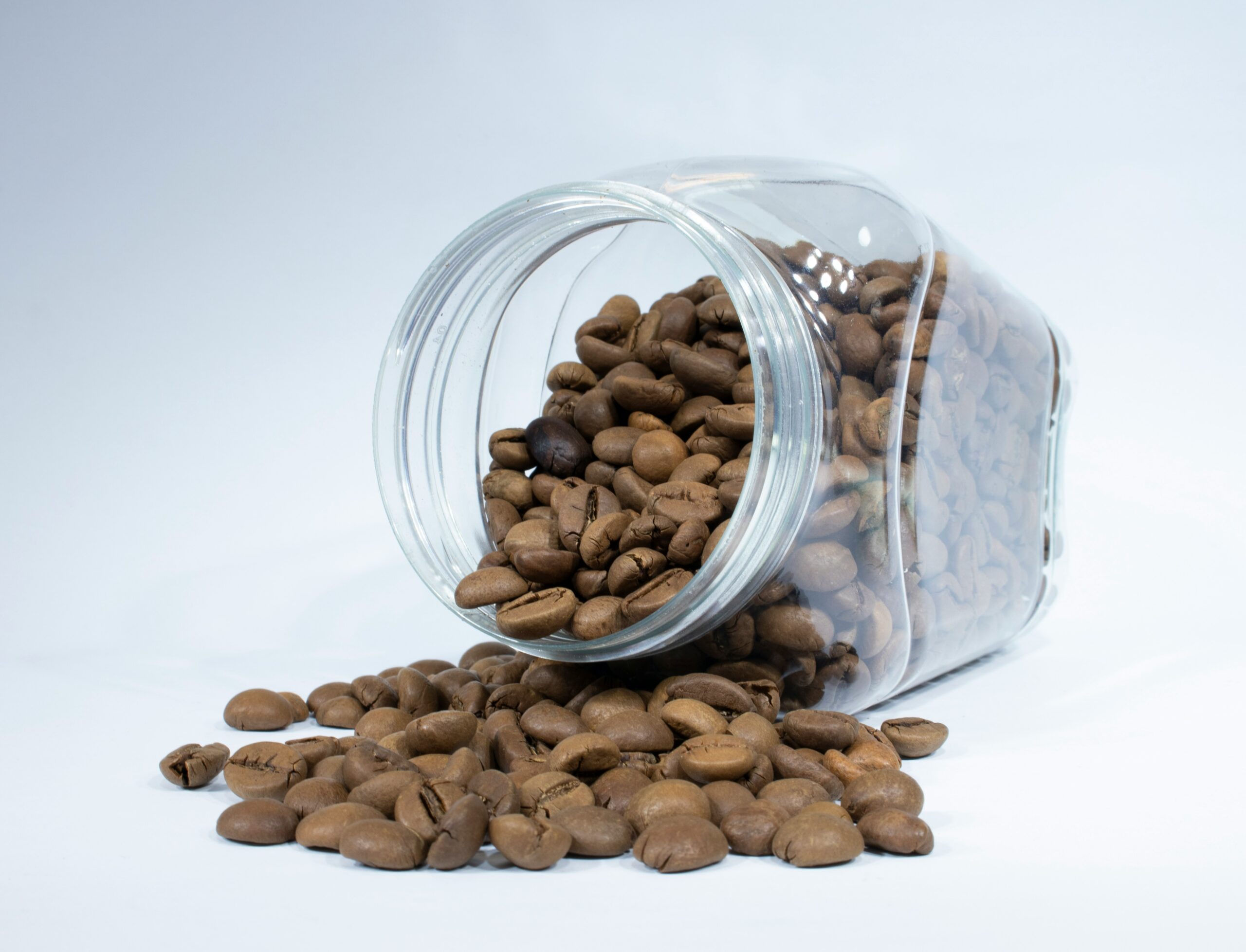 Blue Buffalo Life Protection Formula, Blue Buffalo adult dry dog food, natural dog food with chicken and brown rice, best dog food for strong muscles, healthy dog food for adult dogs, Blue Buffalo Life Source Bits, dog food without corn wheat, or soy, high-protein natural dog food, balanced nutrition for adult dogs, Blue Buffalo chicken and brown rice recipe